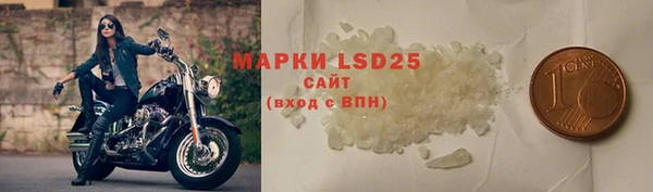 стаф Липки