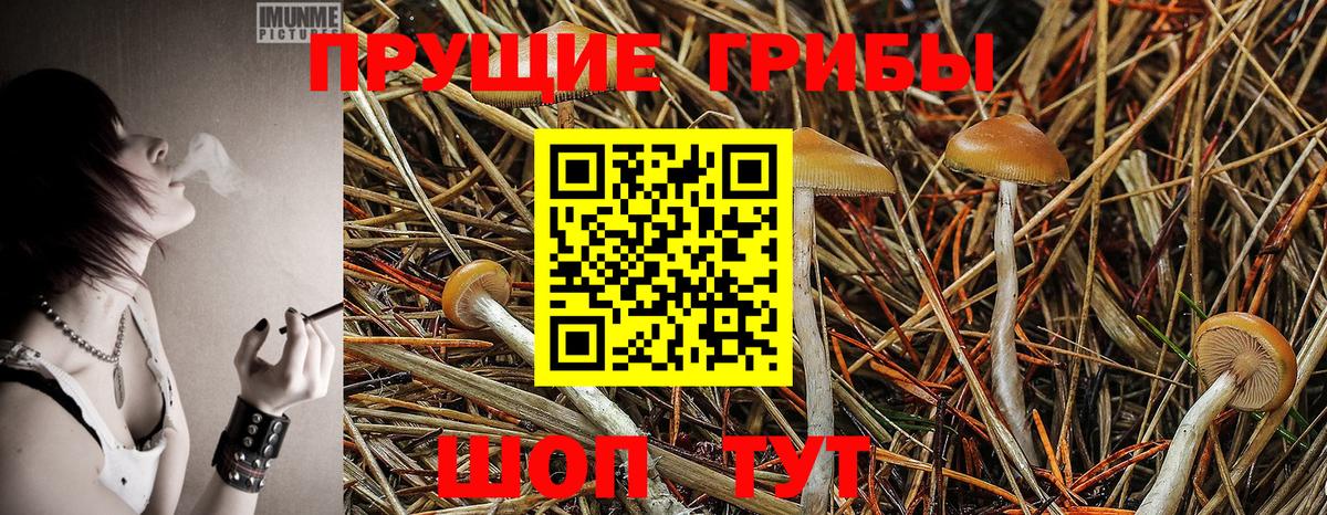 Омск  Псилоцибиновые грибы Magic Shrooms  Вход с VPN 